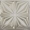 Ekena Millwork 19 5/8in. W x 19 5/8in. H Asher EnduraWall Decorative 3D Wall Panel Covers 2.67 Sq. Ft. WP20X20AHBCR - alternate 1